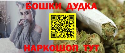 индика Мариинск