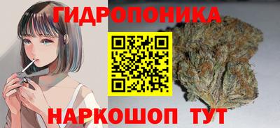 индика Мариинск