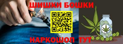 индика Мариинск