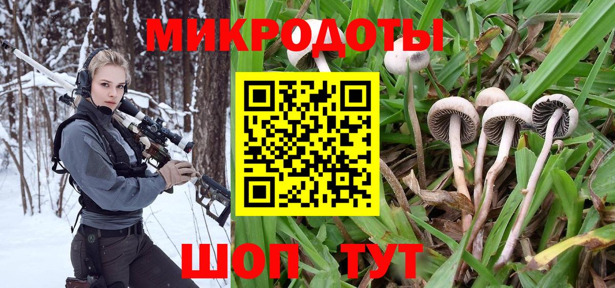 Псилоцибиновые грибы Psilocybe Ялта